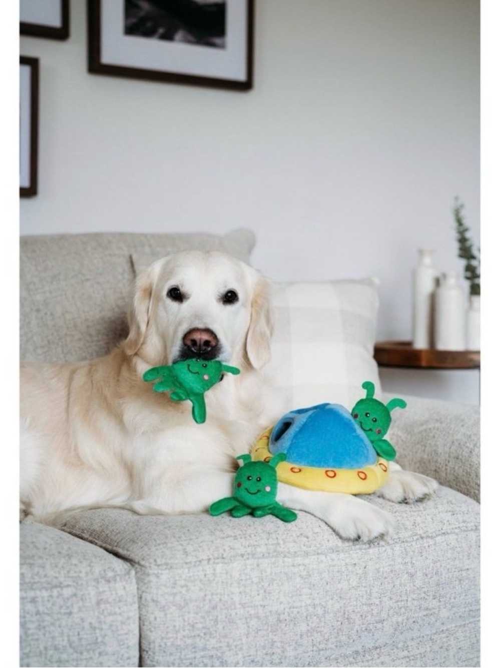 Zippy Paws Alien Dog Toy